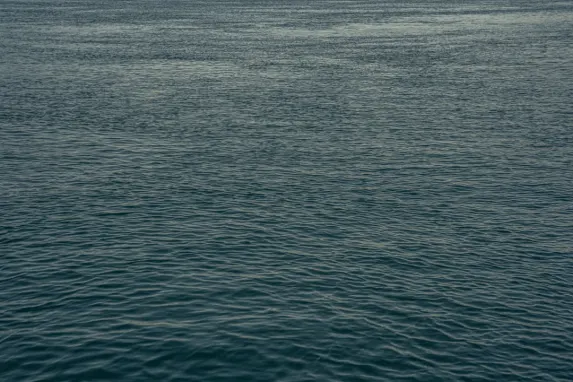 Casino Jackpot Molly Tacaíocht